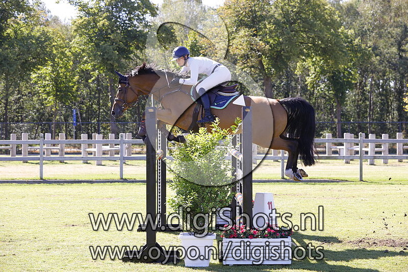 Tysonâ€™s lady lux