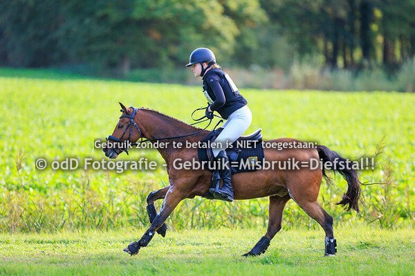 Eventing Diepenheim pony's Z 18-10-25