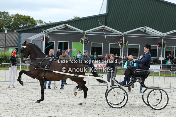 Ploreda ( atleet x unieko ) Alternatieve Ibop