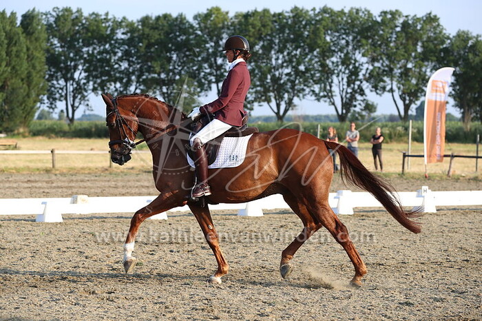 Jolanda van der Voort - Planken