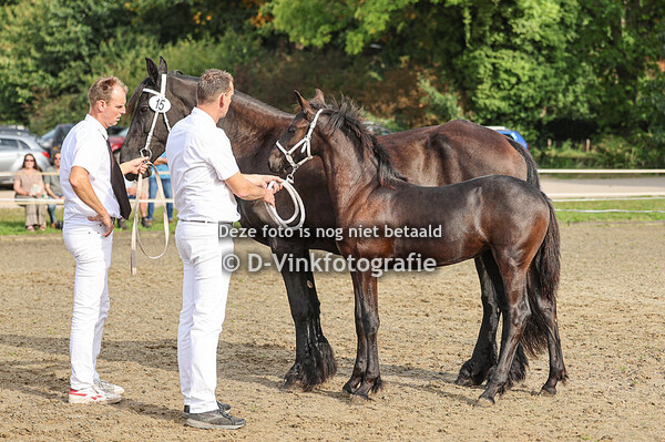 15. Douke van de Lokven Hoeve