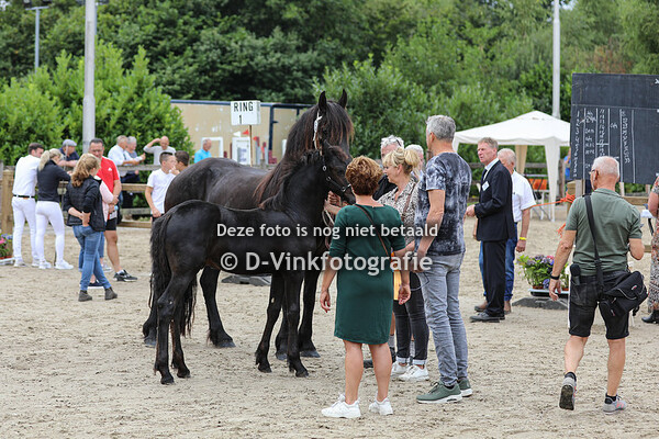 06. Tinus uut d'n Noot