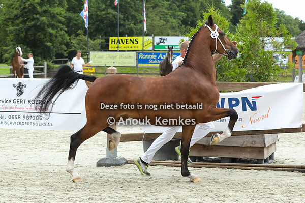 57 - Susandra ( Macho x Atleet )