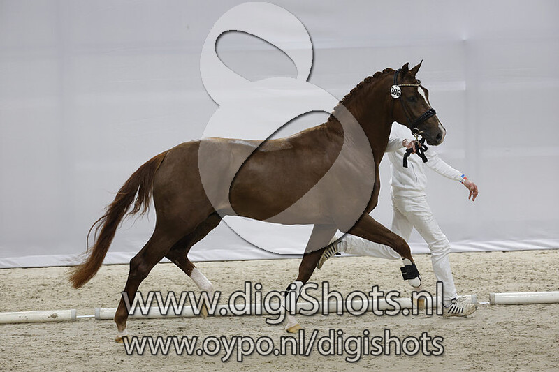 Ocirell v. Blue Hors Farrell