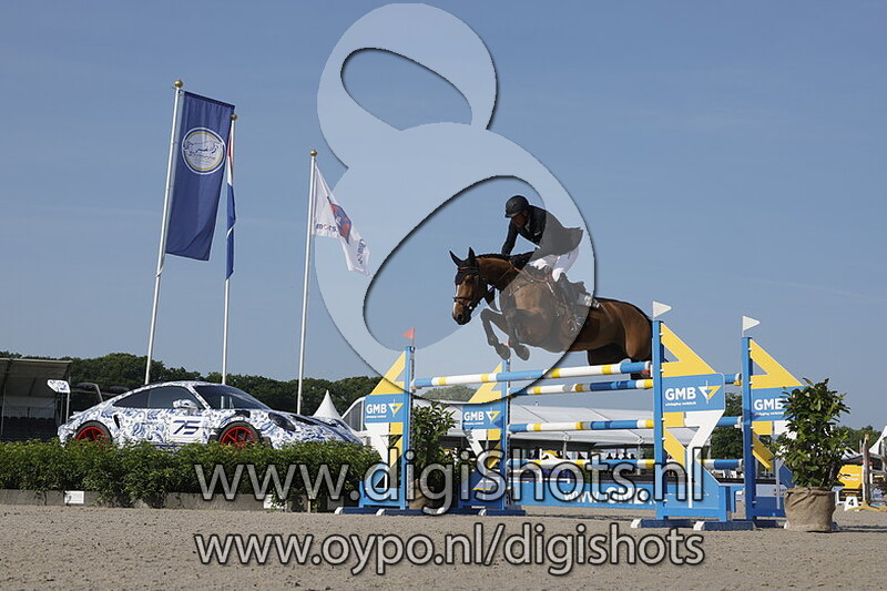 Dwivoli van de Groote Kamps Z