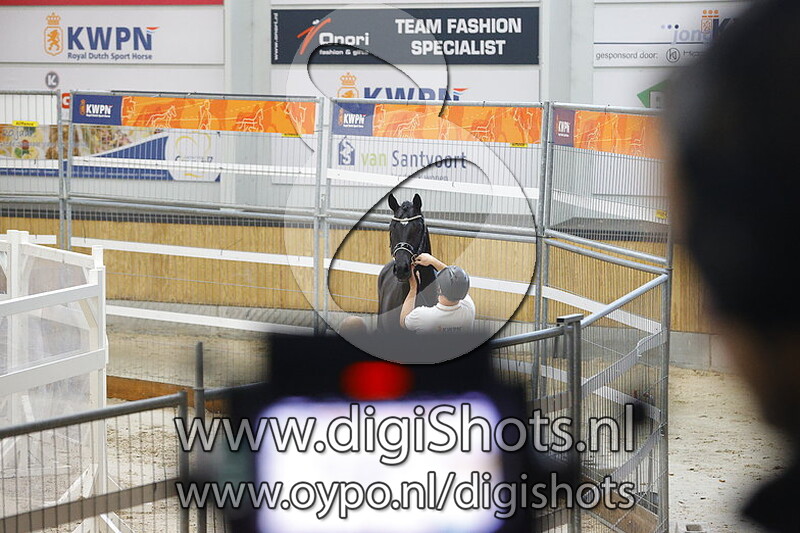 Sarai L v. Nesnard Macaron - 499