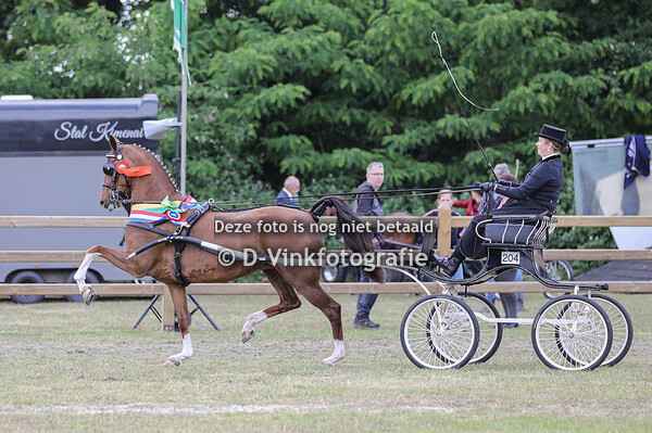 28. Prijs der besten