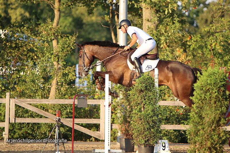 Hippisch Nieuwleusen 29-07-2022 120cm