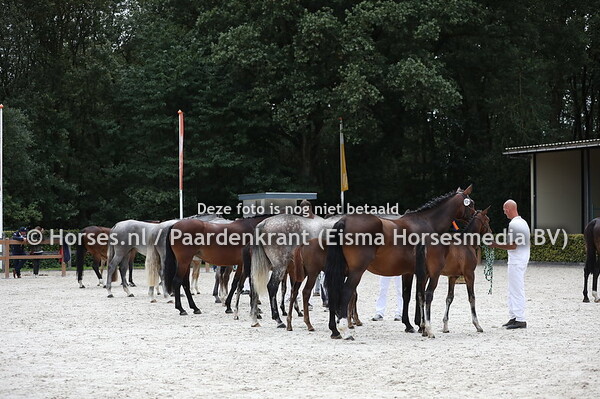 130 Illusion veulens overzicht