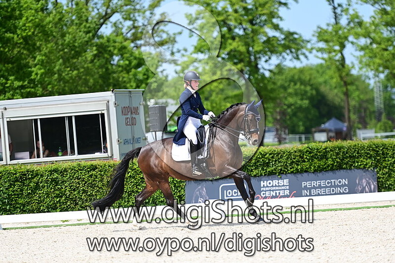 Invita van de Loomansheide