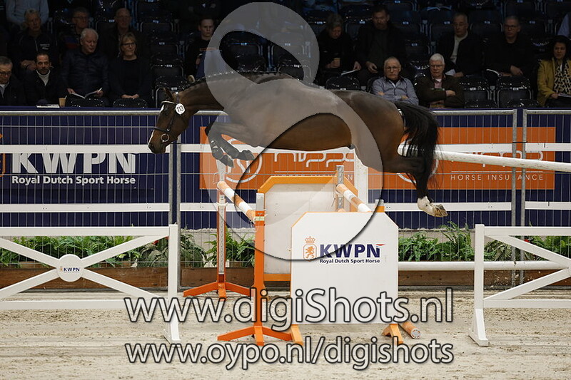 Rossetto Vd Watermolen v. Lingo Van De Watermolen - 113