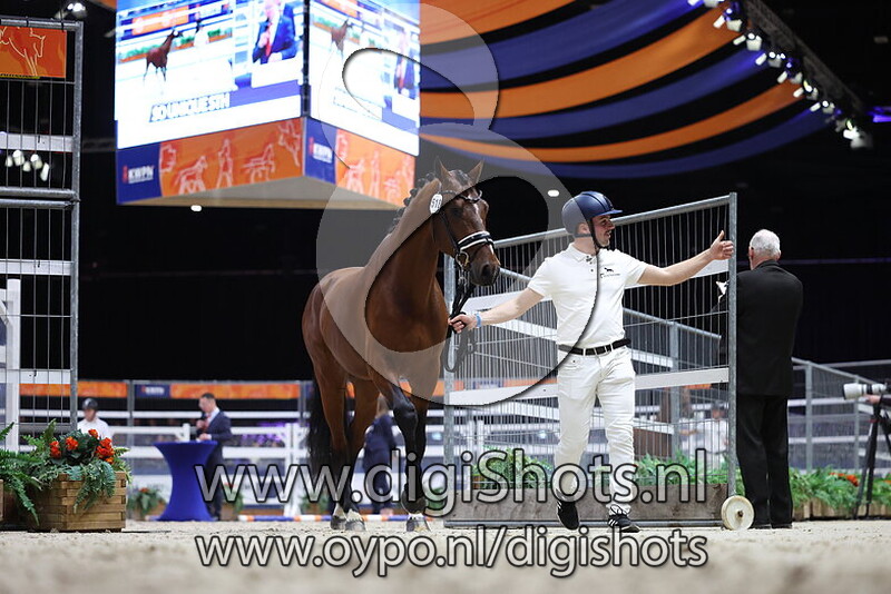 Son of Zalome v. Vitalis