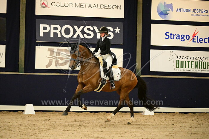 Micky Schelstraete - Manila Grace