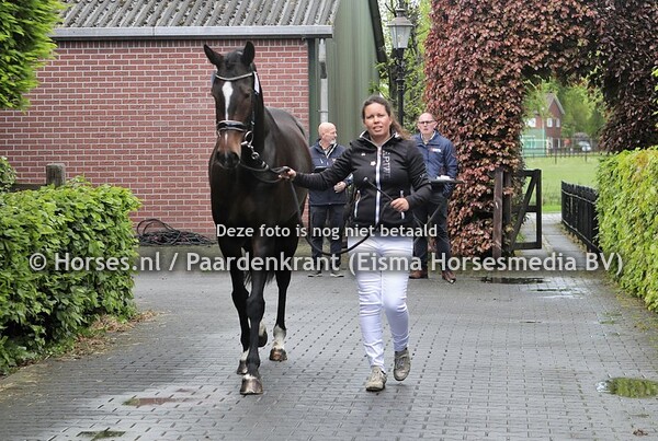 21-05-2021 Stamboekkeuring KWPN Geesteren