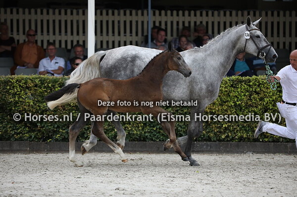 134 One Off a Kind CLK (Illusion x Keep Me Happy v .Focus)