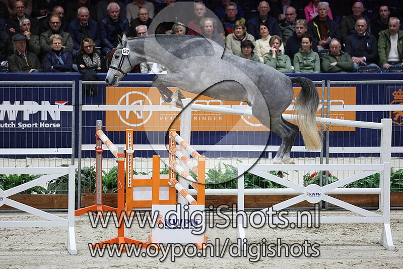 Shadow v. Next in Line