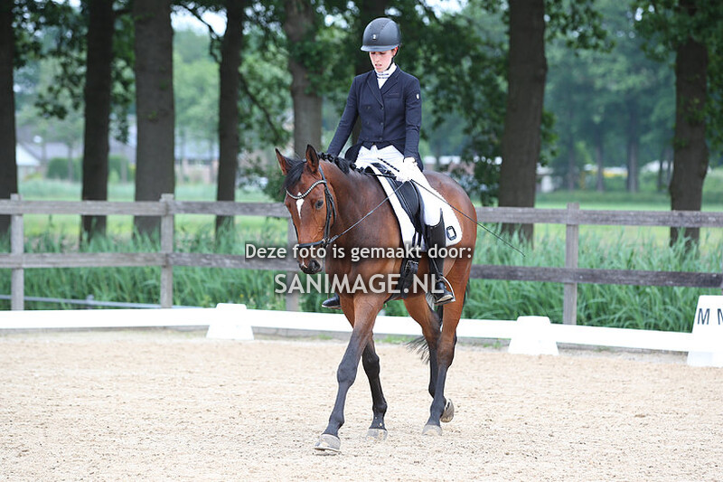 Groenewoude Dressuur 26-05-2024 9.00 uur B/L1