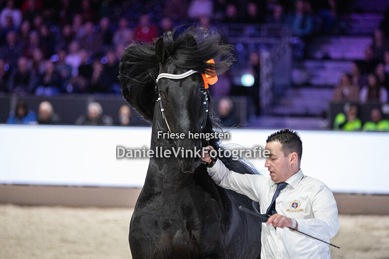 Hengstenkeuring 2025 Auwert 514