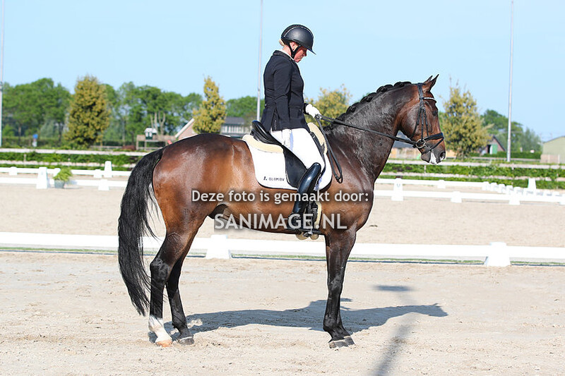 Zilfia's Hoeve Dressuur 28-05-2023 Z