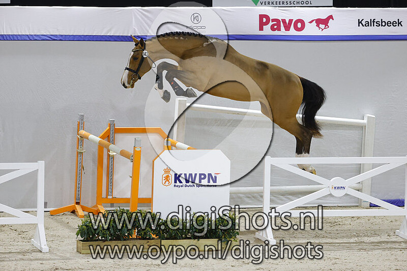 Nautulus v. Jamboree TN