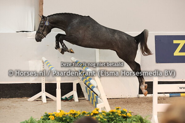 16 Spirit Style VK (Donthargos x Calvino Z)