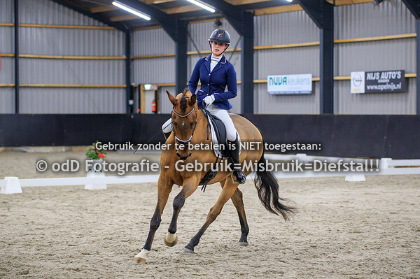 Dressuur PSV Nederweert Paarden L1 L2 12-12-21