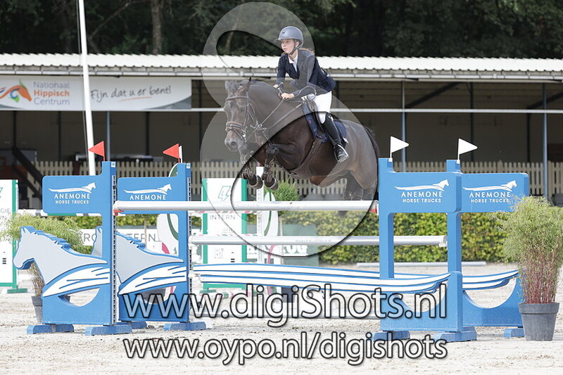 Paarden 1.35 m 1e manche