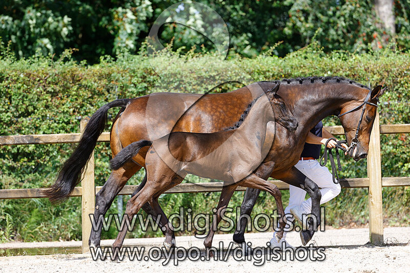 Riva Corieta Texel v. Trafalgar