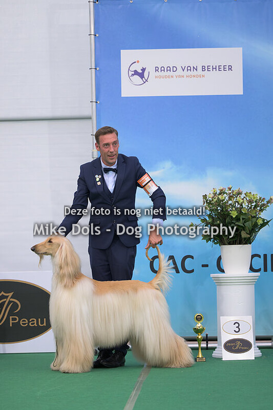 Dogshow Bleiswijk