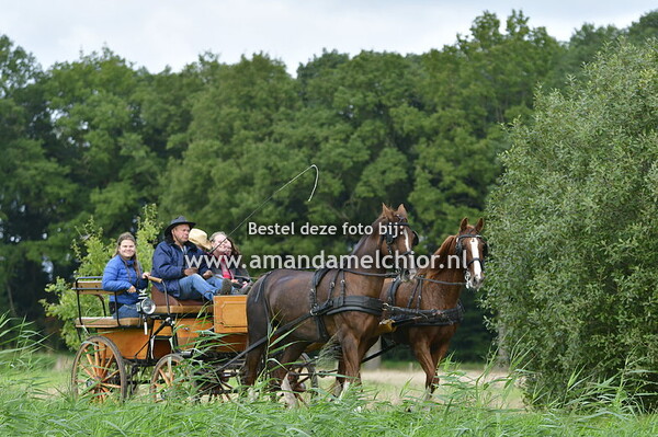 PAARDENVIERDAAGSE ZORGVLIED 2021