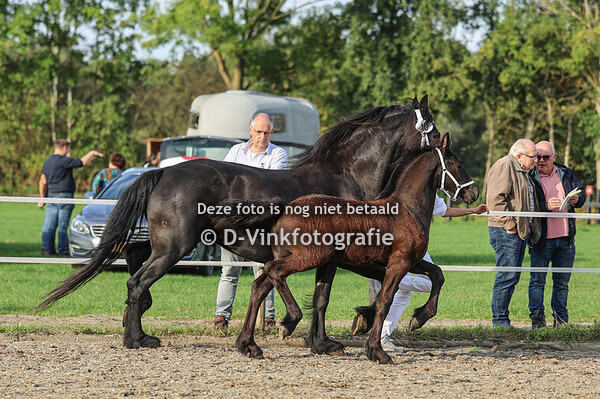 10. Flip fan Oranjebodem