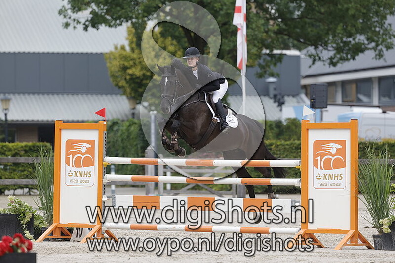 Springen 1.20 paarden