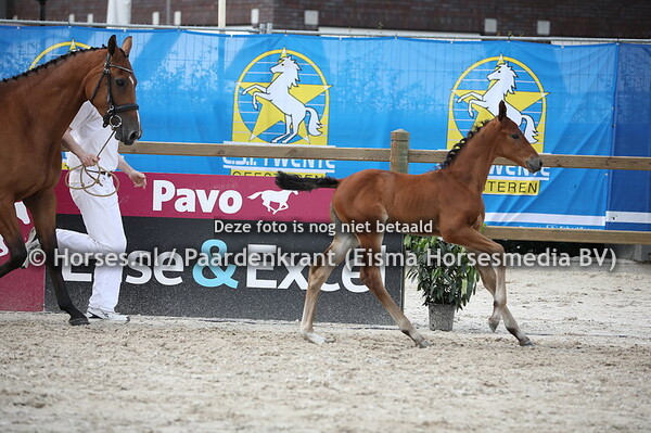 133 Orginia BTH (Expression x Jirginia v. Uphill)