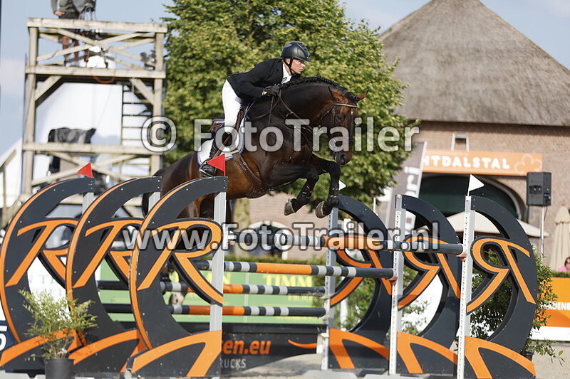 dennis van den brink