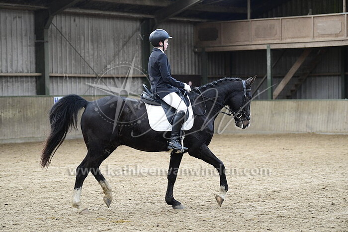 Damian Mazenier - Flow