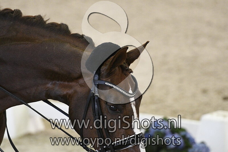 Diamonds are Forever G