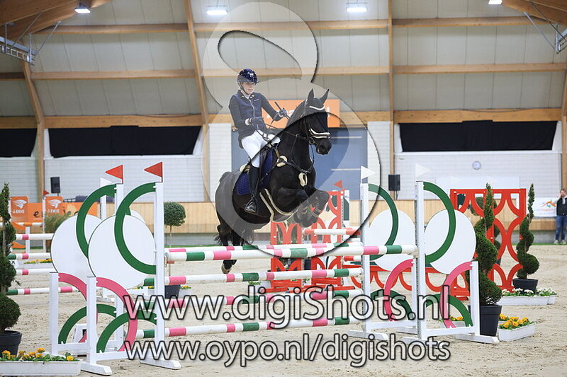 Black Beauty van de Hoge Dijke