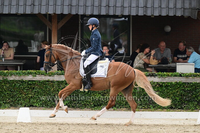 Maddy Pessel - Goldwin's Hoeve Fired Up