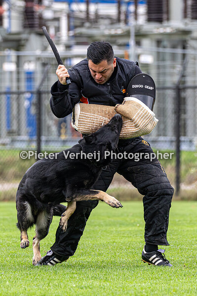Johnny Saman met zijn  Prada von der Hagenmühle