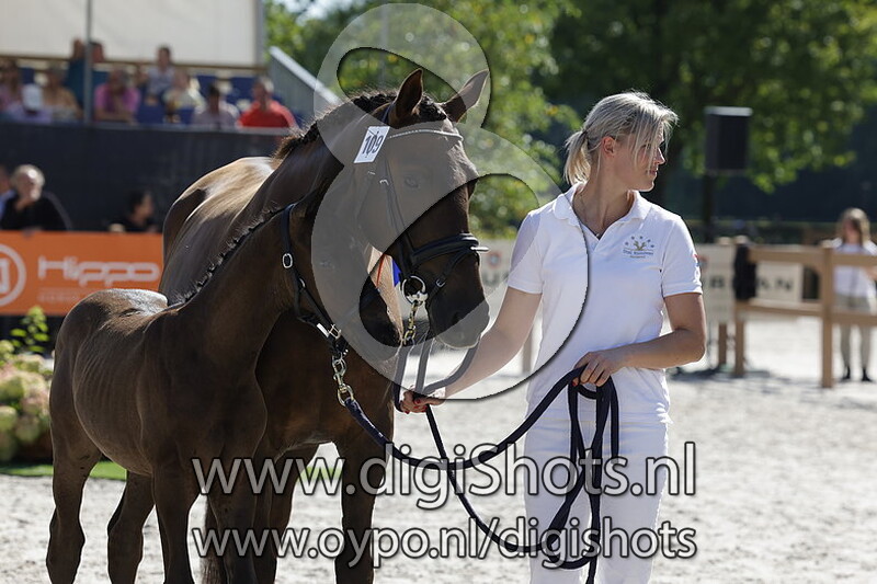 Topaz SR v. Nick Wimphof