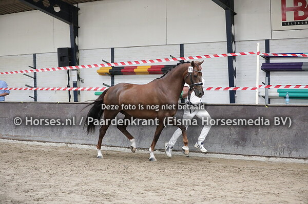 41 Electra-Doeska (Krack C x U-Padoeska v. Jazz)