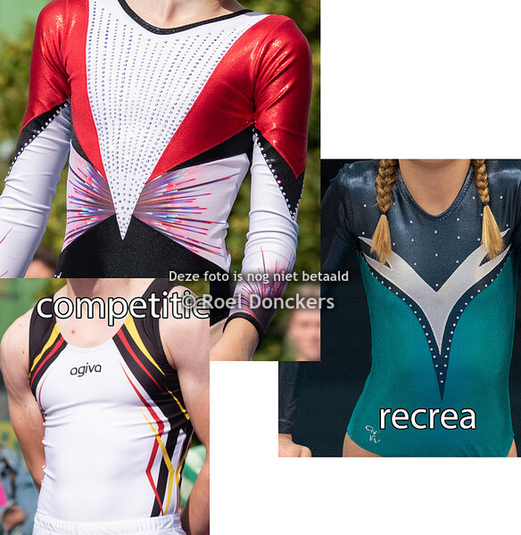 Gym Waasland TTm, TTj