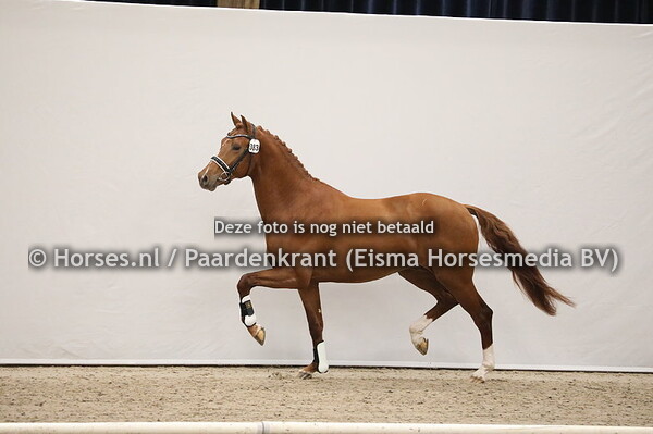 383 Ferdinand x Cachet L