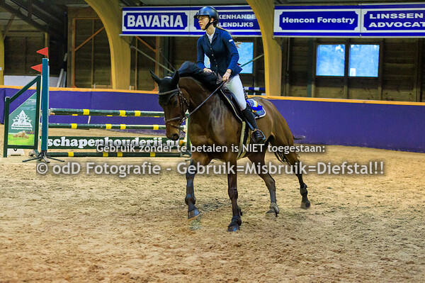 Geldrop Hippique oefen 80-90cm  11-10-25