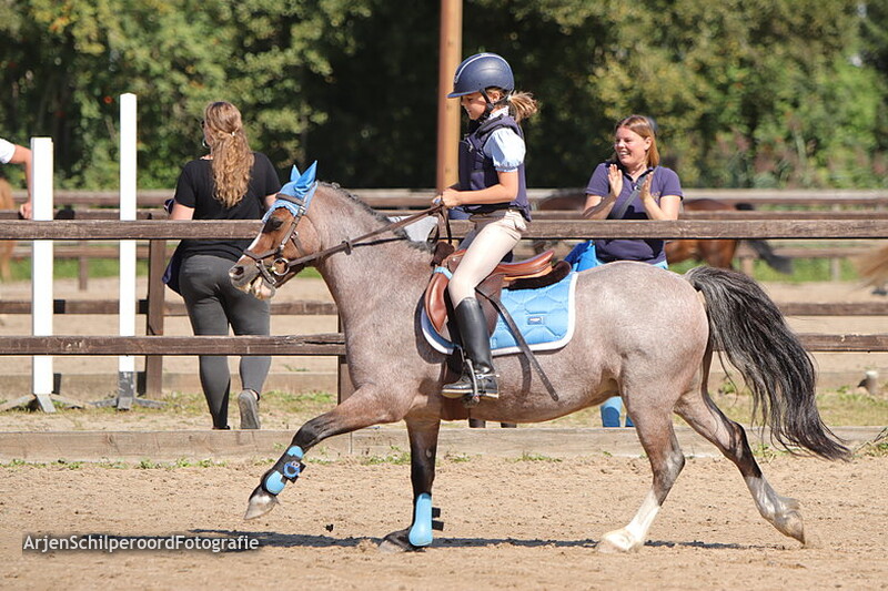 Horka Concours 03-09-2022 Finale Mini Horka Cup 50-60cm AB