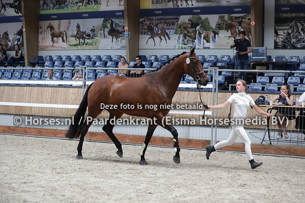 23 L'Esperanza (Blue Hors Zack x Valencia v. KrackC)