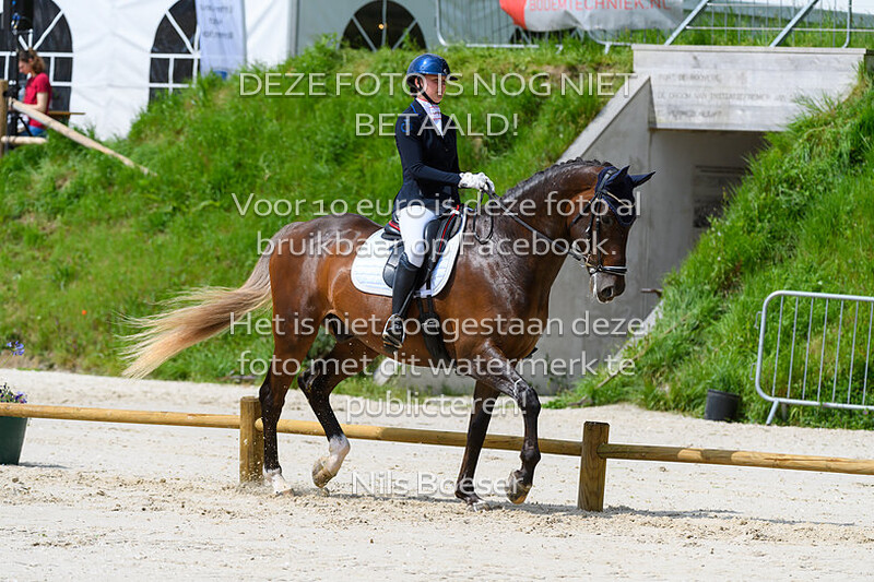 D3 Dressuur Klasse ZZ-L