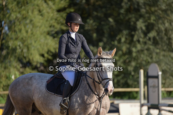 Paarden Clear Round 60