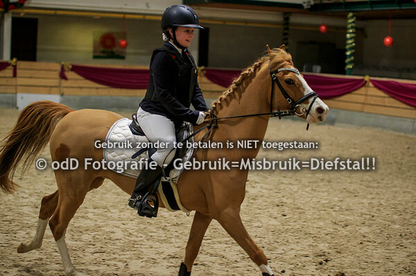 NY Jumping Warredal Pony's balkjes draven en 30-50cm 07-01-22