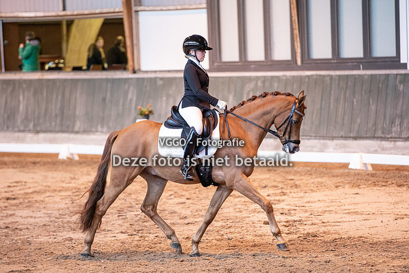 BK Deurne Pony's 19 & 20 februari 2022